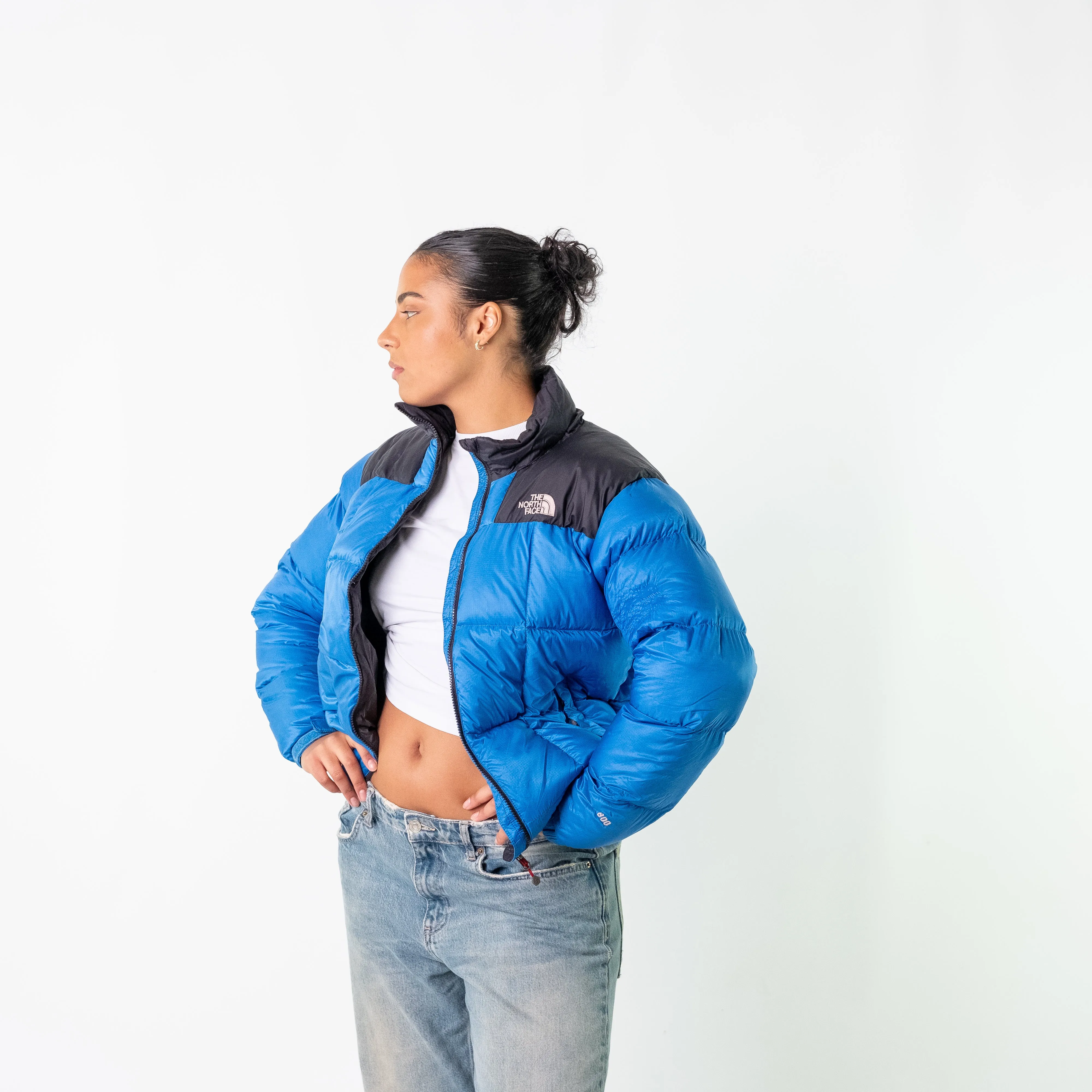 Blue 90s The North Face 95 Puffer (M)