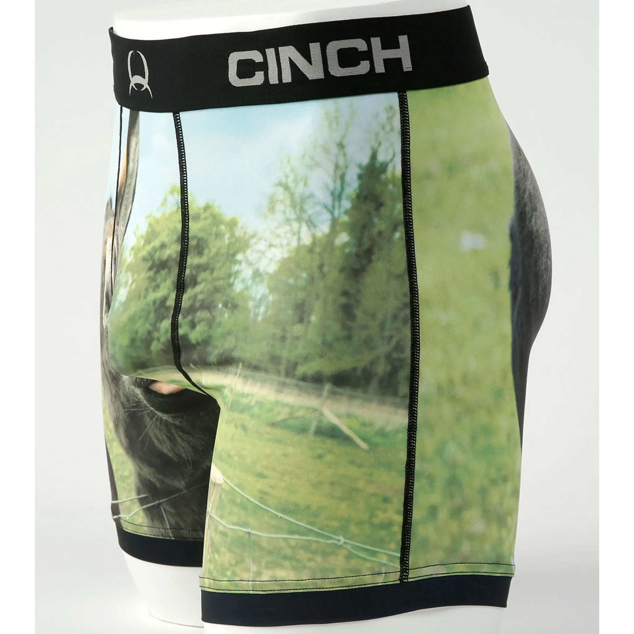 Cinch Men's Donkey 6 Boxer Briefs