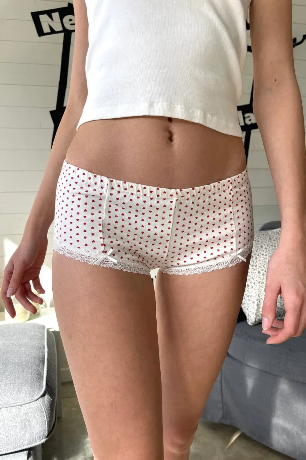 Heart Lace Hipster Underwear