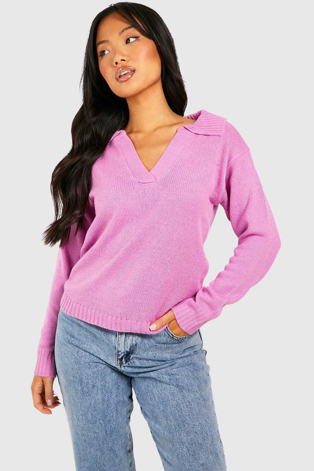 Petite Knitted Collared V Neck Sweater