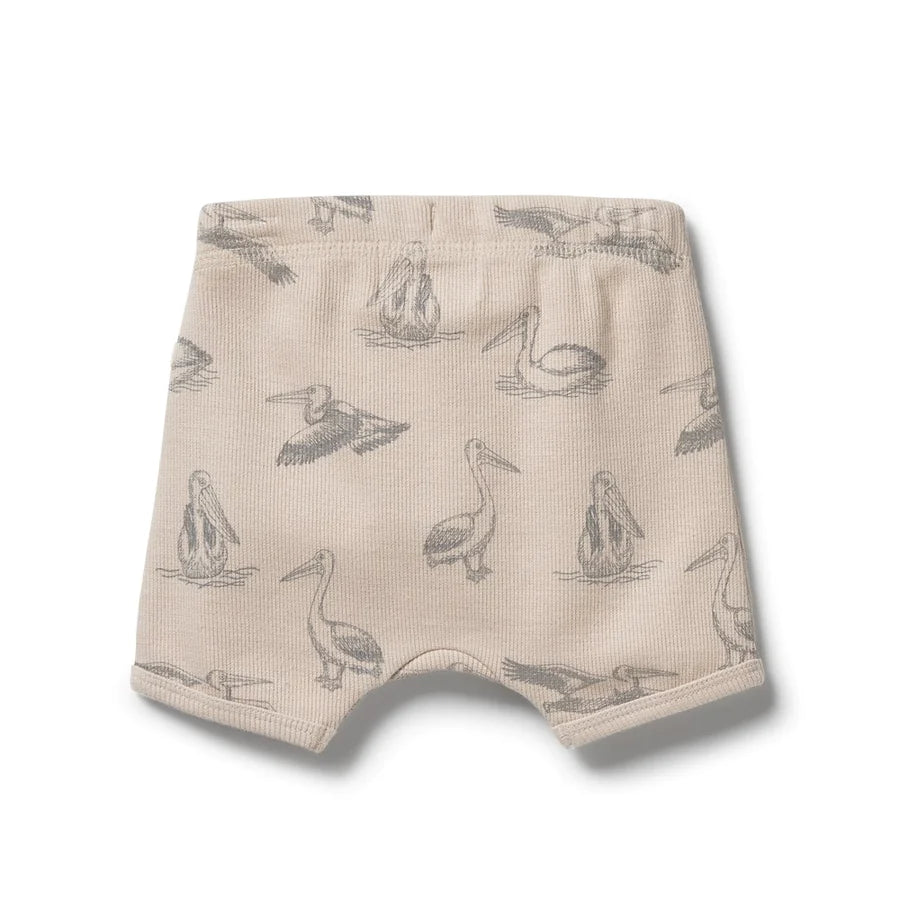 Wilson & Frenchy - Organic Rib Tie Front Shorts - Little Pelican - Size 0-3mth